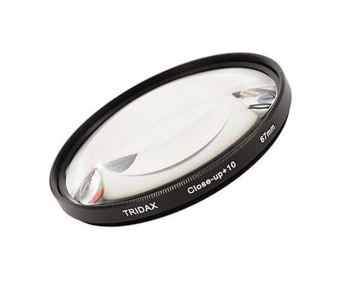 Tridax nahlinse close 67 - ,