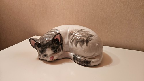 Schöne schlafende katze aus - katze,