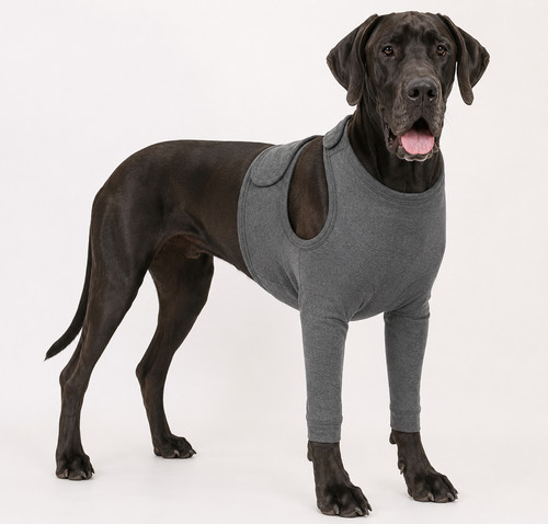 Hund body vorderbein - ,