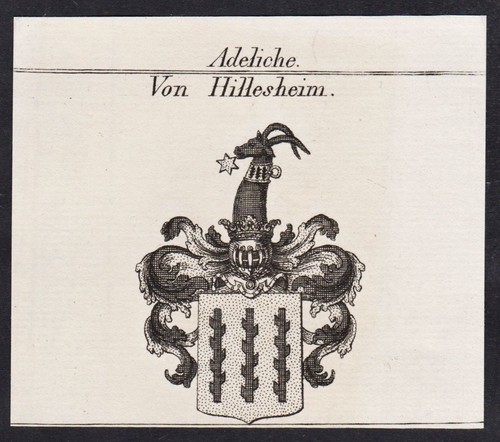 Hillesheim coat arms - coat, of