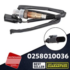 0258010036 LAMBDASONDE NACH