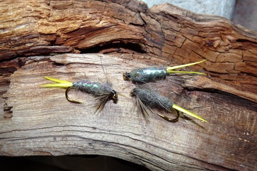 Mayfly nymph - st., mayfly-nymph