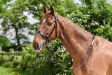 Wilson Pferd einfache