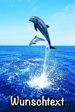 Delfine Tortenaufleger Party