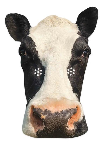 Kuh tier einzelkarte - 2d,
