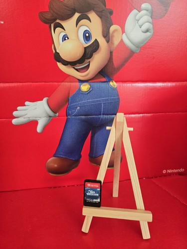 Vacation nintendo switch - go,
