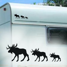 3 Schweden Elche  B53