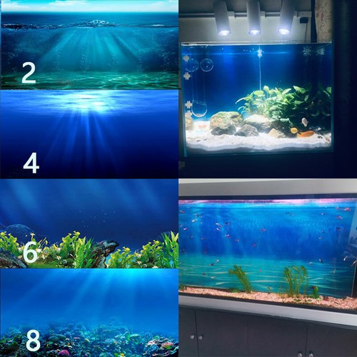 Werken aquarium - werken,
