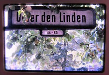 Wilfried Bauer Berlin Unter