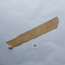 Schlangenleder 17