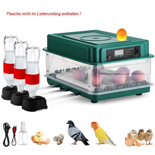 Brutmaschine eier - brutmaschine,