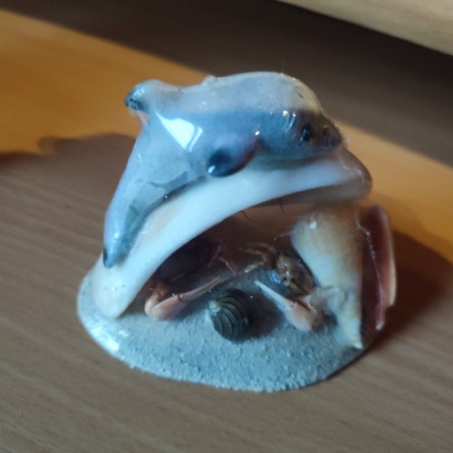 Muscheln deko mit delfin - deko, noch