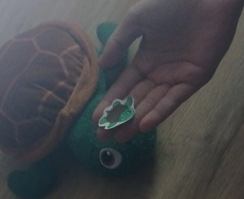 Schildkröte plüschtier - schildkröte,
