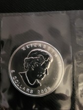 Kanada 5 Dollar Maple Leaf 2005 Silber 1 Unze