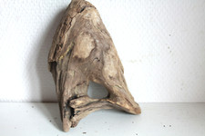 Schwemmholz Treibholz Skulptur