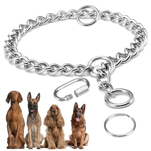 Hund kettenhalsband edelstahl - hund,