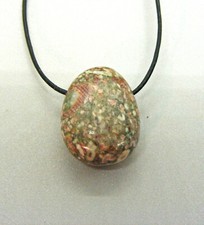 CRINOID / FOSSILE SEELILIE