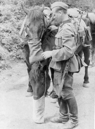 Wk2 ww2 repro inf div - wk2,