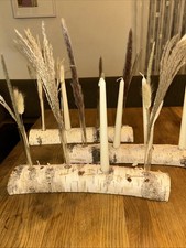 Birkenstämme, 3 Stück, mit Dekoration Kerzen& Reagenzgläsern& Pampasgras, 40cm