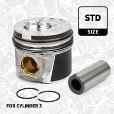 PM003300 Kolben SKODA Fabia