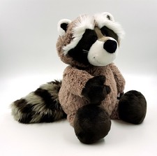 Nici Waschbär Rob Raccoon ca
