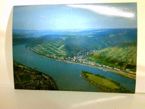 Weinort lorch rhein - lorch, am