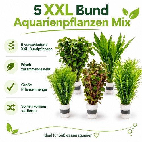 Xxl bund aquariumpflanzen - 5,