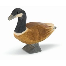 Ostheimer Kanadagans stehend