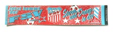 FSV Zwickau Aufkleber Sticker