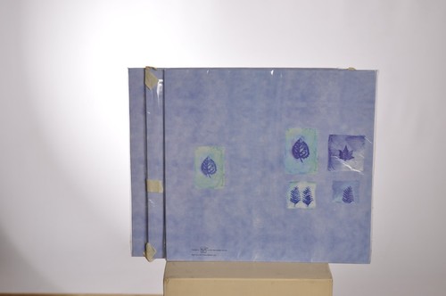 Hellblaues einsteckalbum - hellblaues,