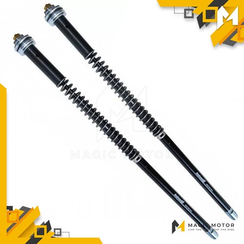 Andreani misano evo - andreani,