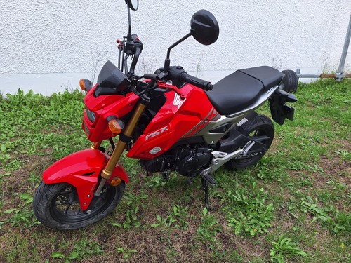 Honda msx zweite hand - ,