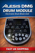 Alesis DM6 Drum Modul Gehirn