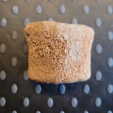 Fragmente von Walknochen (?), Tertiär Miozän, Groß Pampau