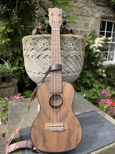 Flight duc430 dao konzert - flight,