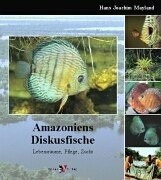 Amazoniens diskusfische - amazoniens,