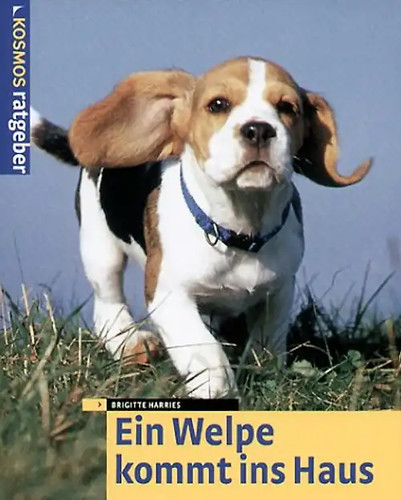 Ein welpe kommt ins - ein,