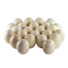24 original afrikanische Straußeneier Strauß Afrika Deko weiß/creme Deko Osterei