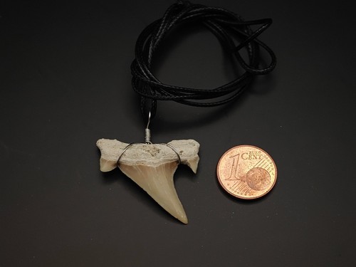 Haifischzahn kette mit band - mit,