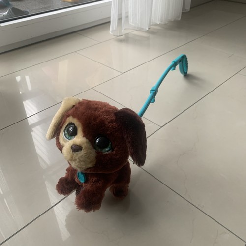 Hundeplüschtier bellt - hundeplüschtier,