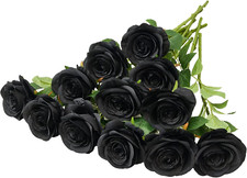 12 Stück Schwarze Rose