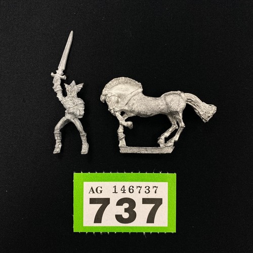Drache meister hoher elf - drache, held