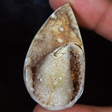 Natürlich Fossil Schnecke