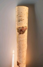  Birkenstamm.  Birkenast                           🔝30 cm.    Ø 3-4 cm  🕯Deko