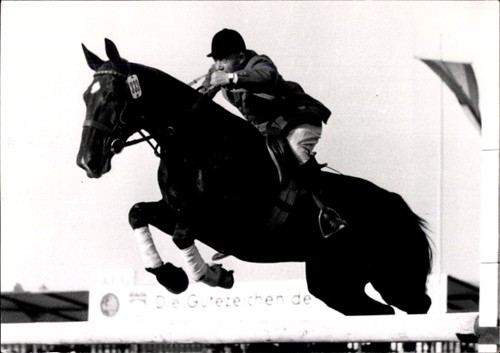 Foto springreiten sprung - foto,