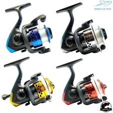 MIRACLE JL200 3BB Einsteiger