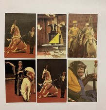 6 Taschenkalender Mini