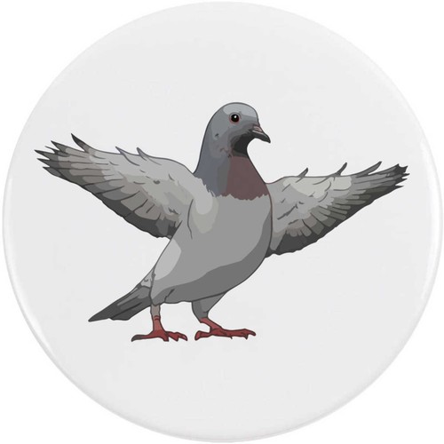 Pigeon with wings spread - with,