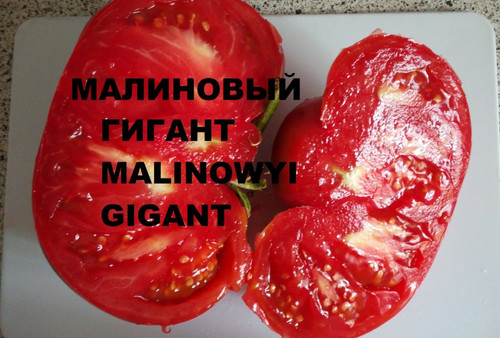 Tomatensamen"Malinowyi