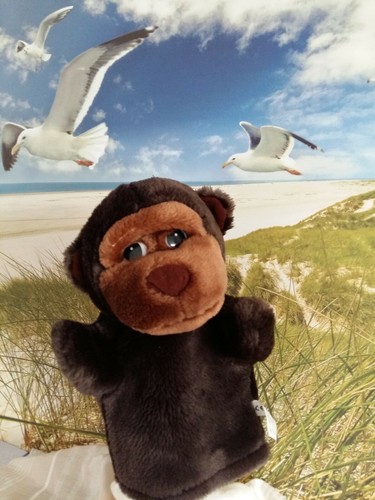 Handpuppe affe von - handpuppe,